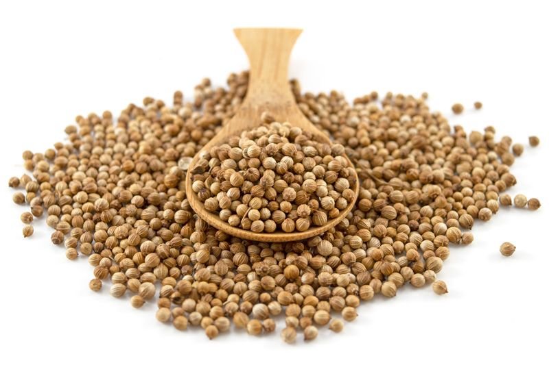 Coriander Seeds